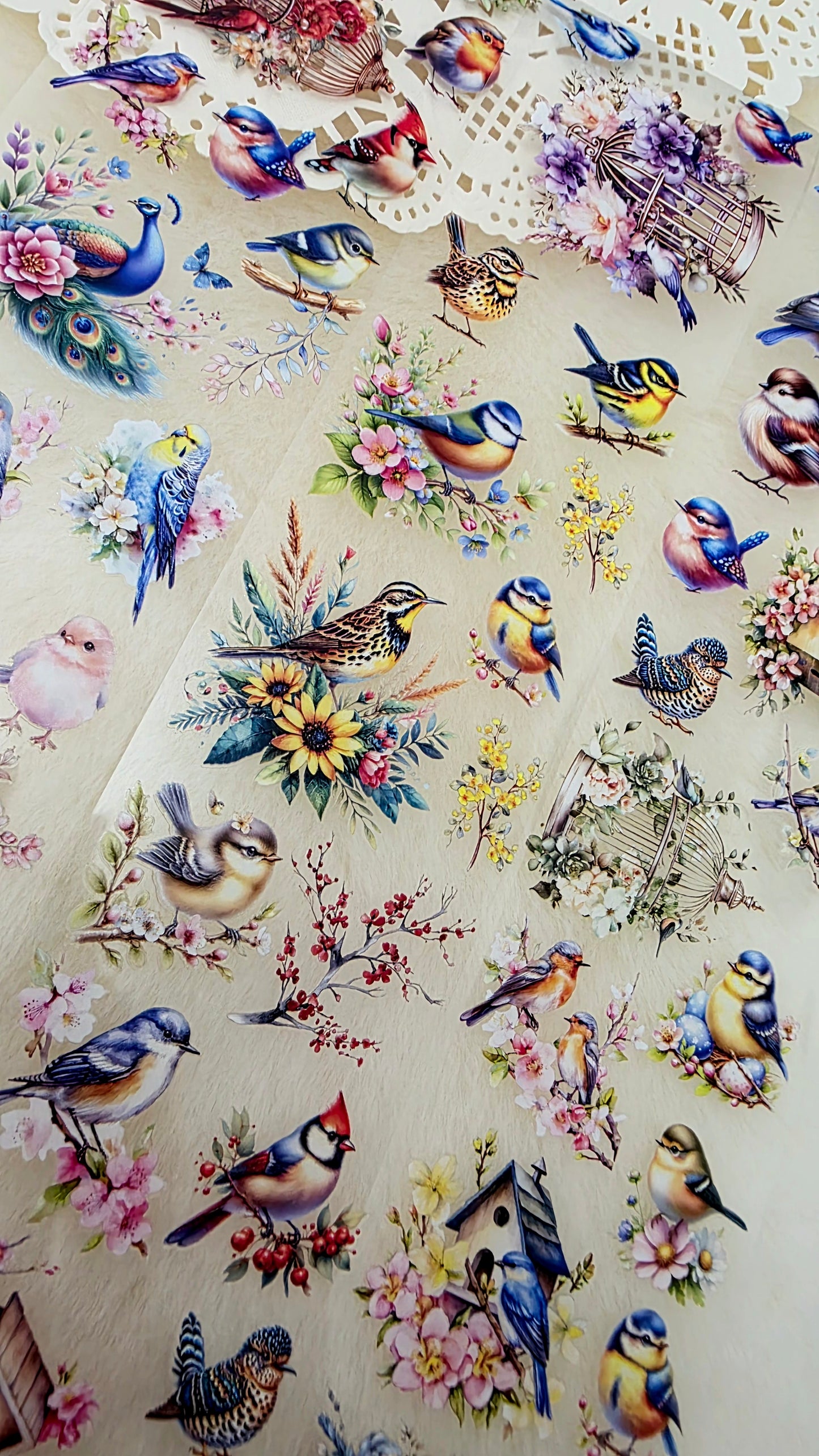 My DESIGN My DESIGN TAPE pour journal, scrapbooking, travaux manuels, boucle d'art à la main 100 cm x7 cm, Colored Birds in crystal ink